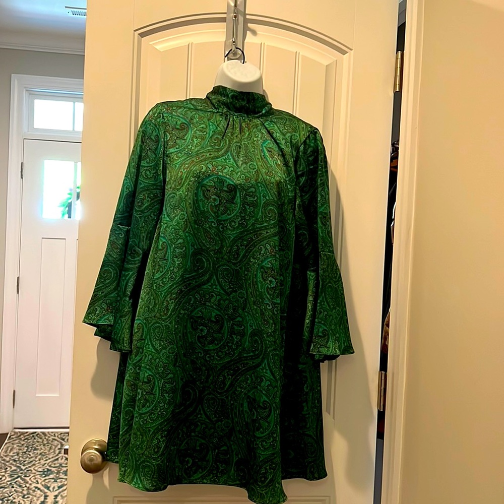Julie Brown Green Paisley silk dress